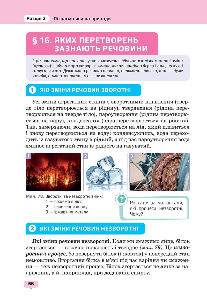 Сторінка 66 - Підручник Пізнаємо природу 6 клас Біда 2023 НУШ