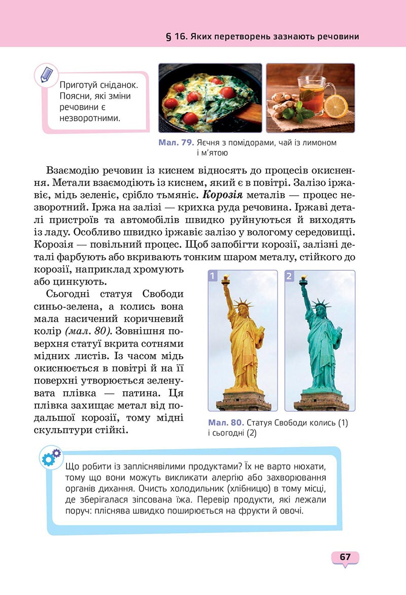 Сторінка 67 - Підручник Пізнаємо природу 6 клас Біда 2023 НУШ