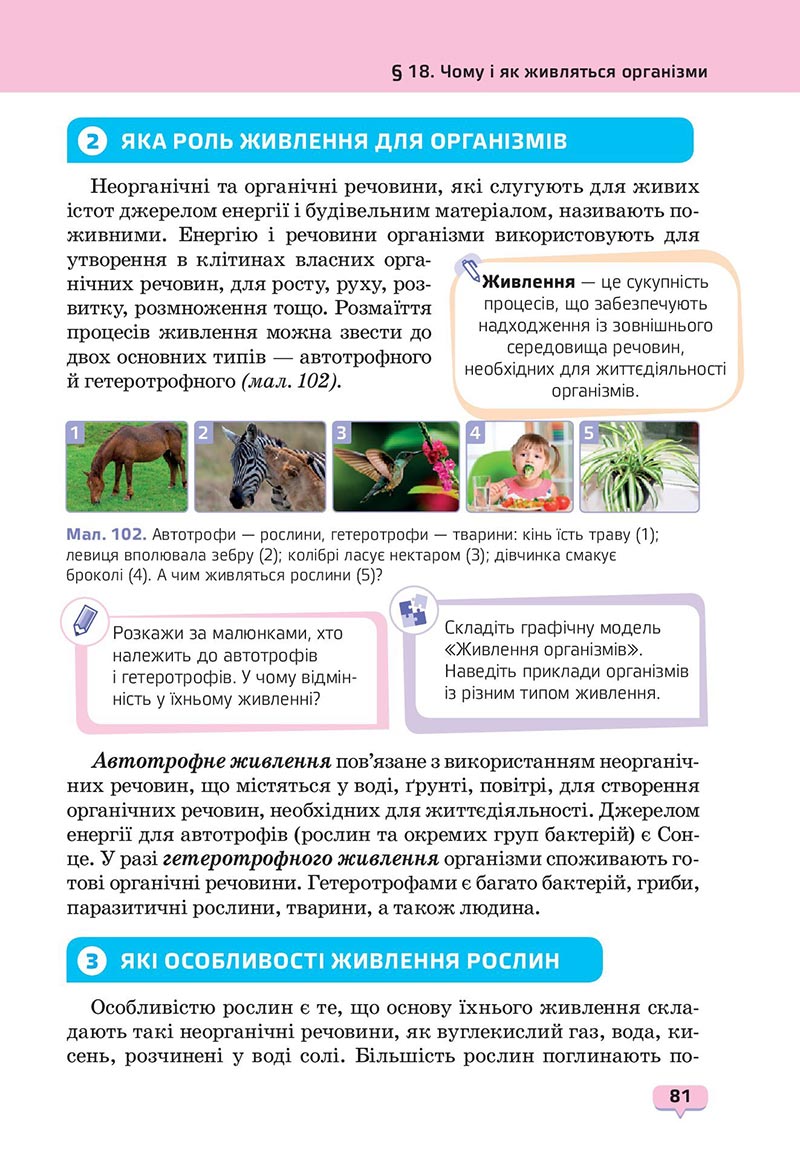Сторінка 81 - Підручник Пізнаємо природу 6 клас Біда 2023 НУШ