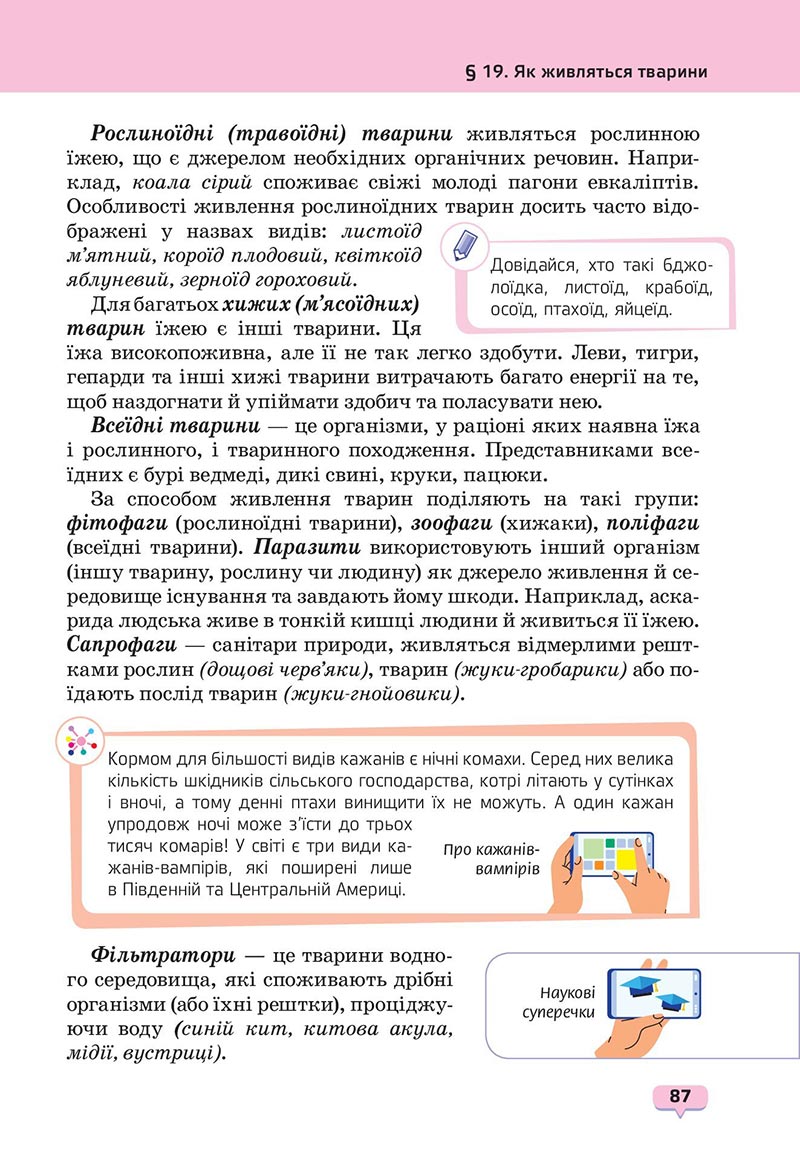 Сторінка 87 - Підручник Пізнаємо природу 6 клас Біда 2023 НУШ