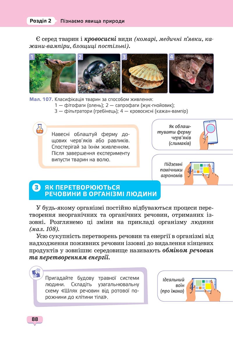 Сторінка 88 - Підручник Пізнаємо природу 6 клас Біда 2023 НУШ