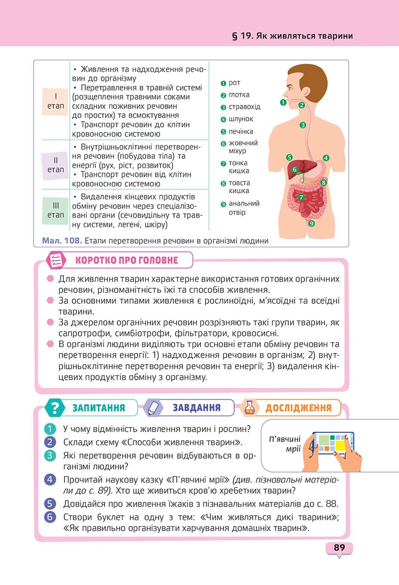 Сторінка 89 - Підручник Пізнаємо природу 6 клас Біда 2023 НУШ