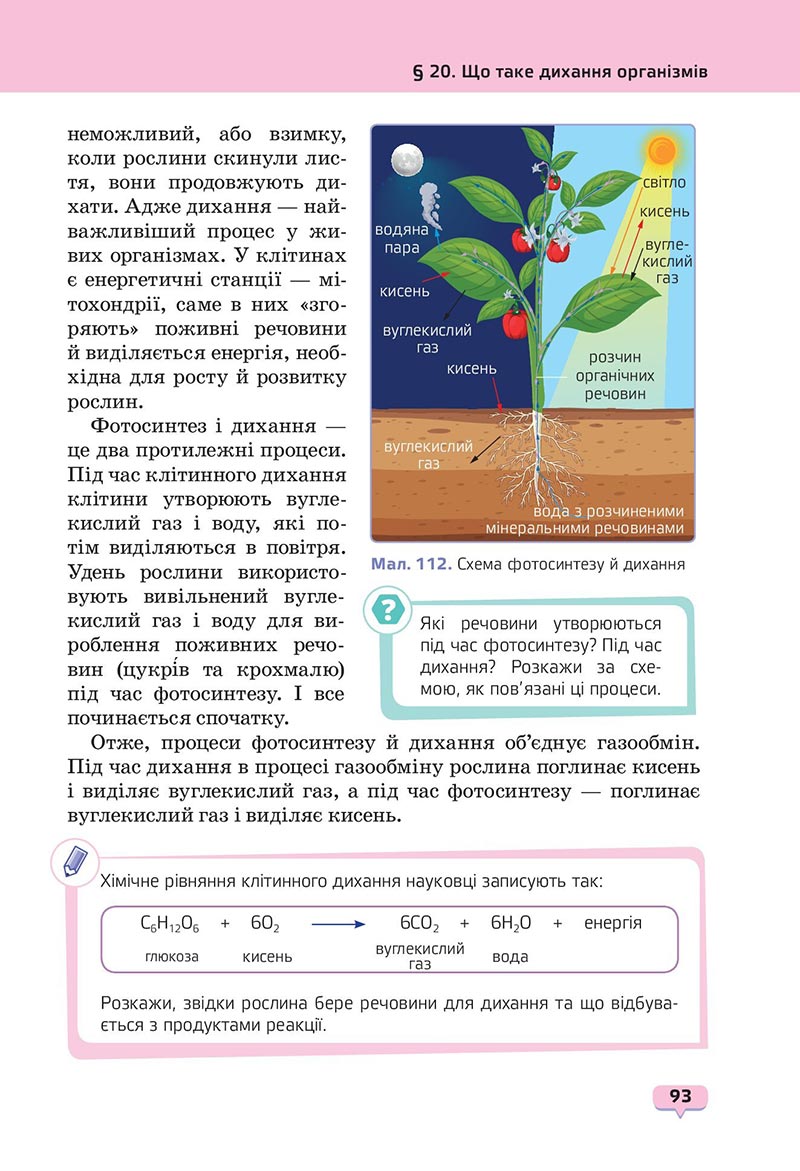Сторінка 93 - Підручник Пізнаємо природу 6 клас Біда 2023 НУШ