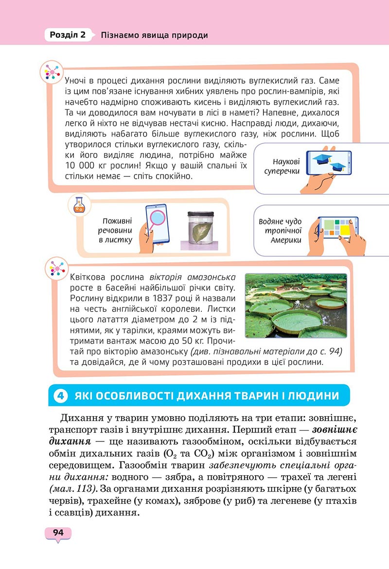 Сторінка 94 - Підручник Пізнаємо природу 6 клас Біда 2023 НУШ