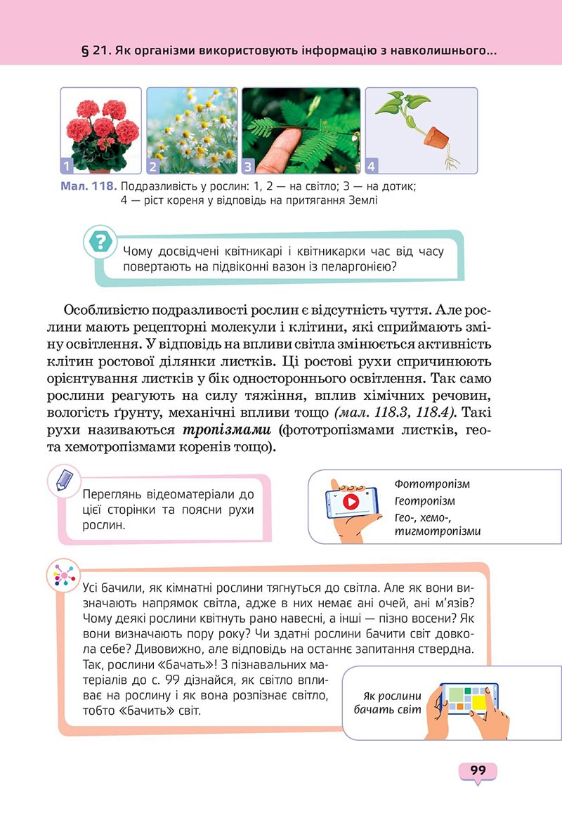 Сторінка 99 - Підручник Пізнаємо природу 6 клас Біда 2023 НУШ