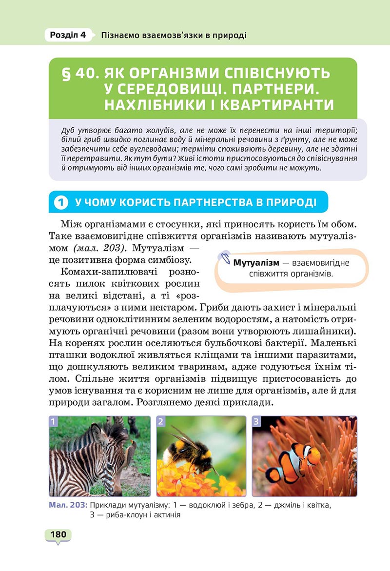Сторінка 180 - Підручник Пізнаємо природу 6 клас Біда 2023 НУШ