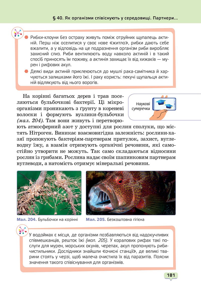 Сторінка 181 - Підручник Пізнаємо природу 6 клас Біда 2023 НУШ