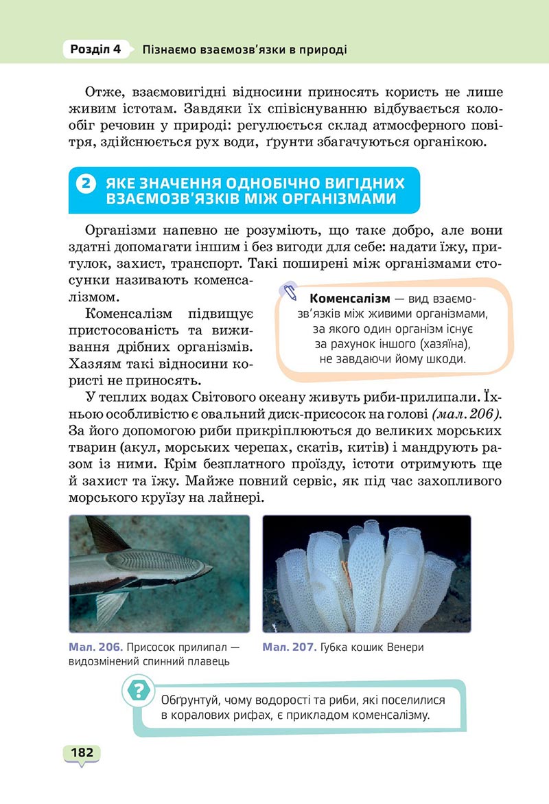 Сторінка 182 - Підручник Пізнаємо природу 6 клас Біда 2023 НУШ