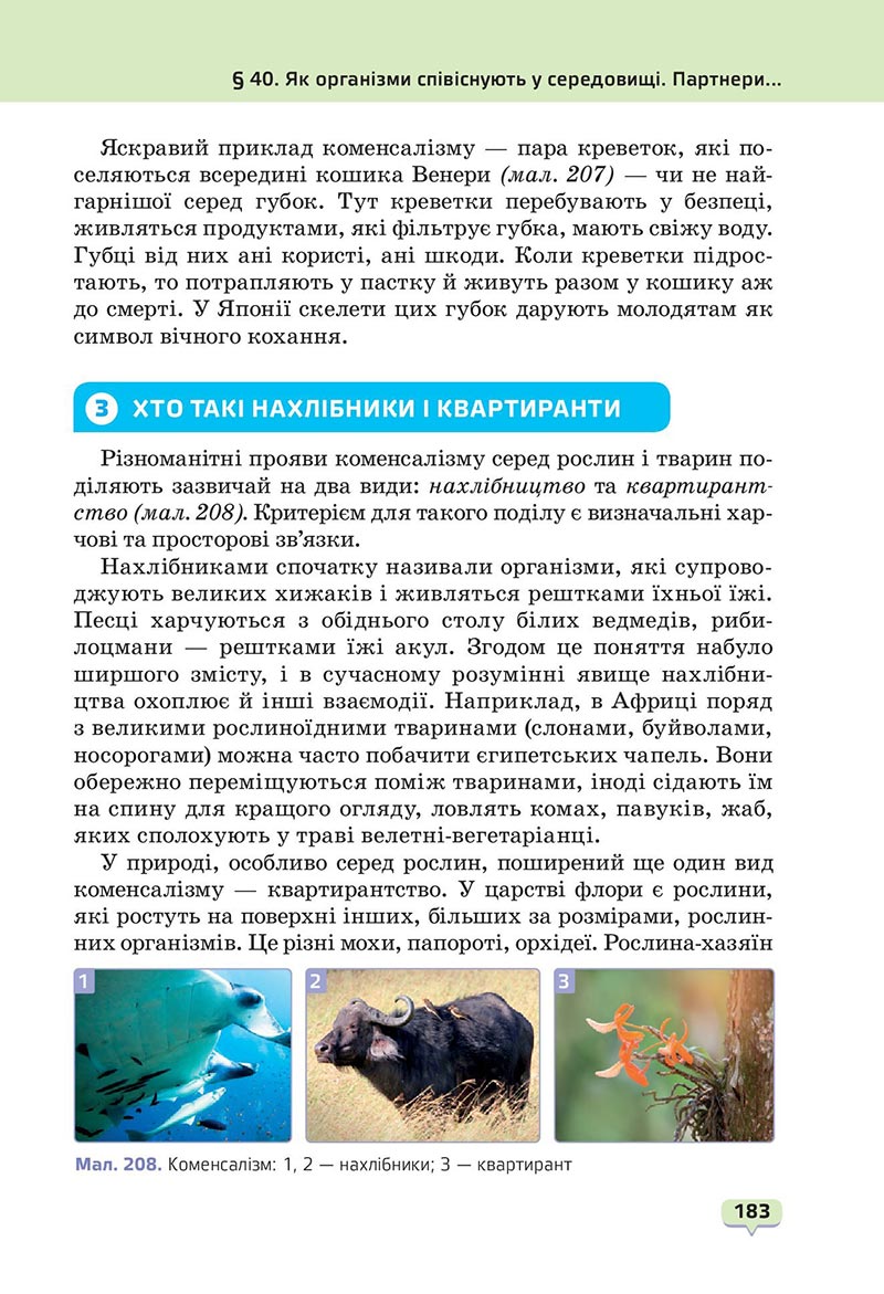 Сторінка 183 - Підручник Пізнаємо природу 6 клас Біда 2023 НУШ