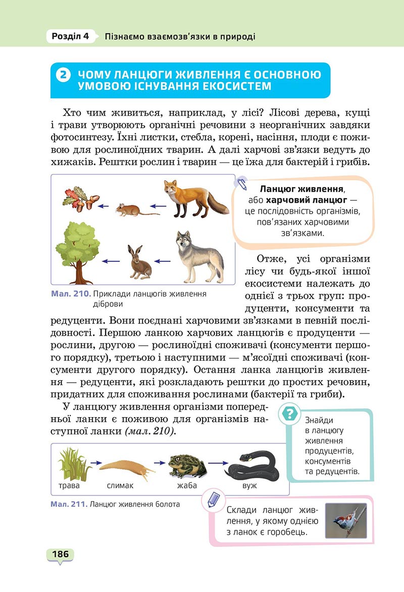 Сторінка 186 - Підручник Пізнаємо природу 6 клас Біда 2023 НУШ