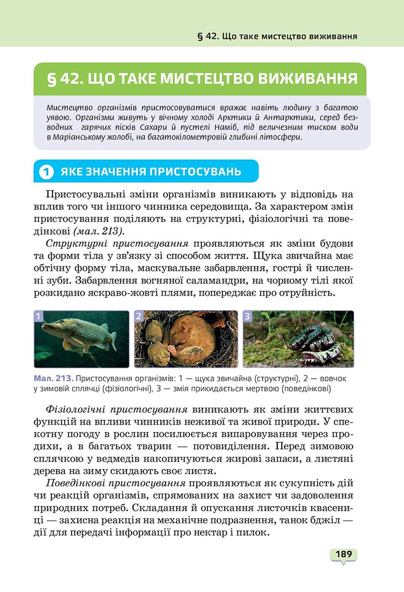 Сторінка 189 - Підручник Пізнаємо природу 6 клас Біда 2023 НУШ