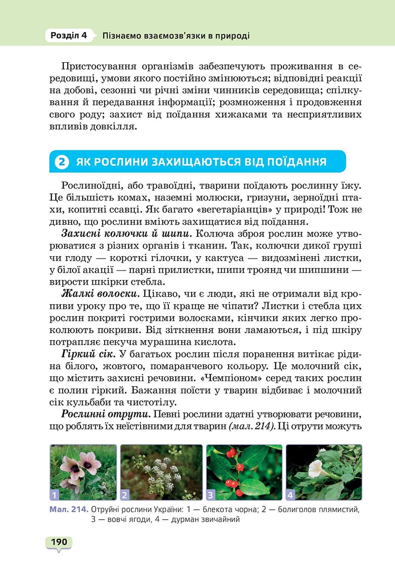 Сторінка 190 - Підручник Пізнаємо природу 6 клас Біда 2023 НУШ
