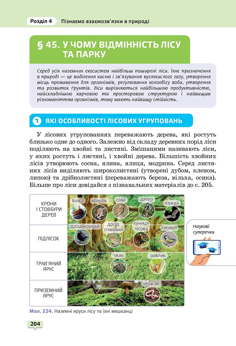 Сторінка 204 - Підручник Пізнаємо природу 6 клас Біда 2023 НУШ