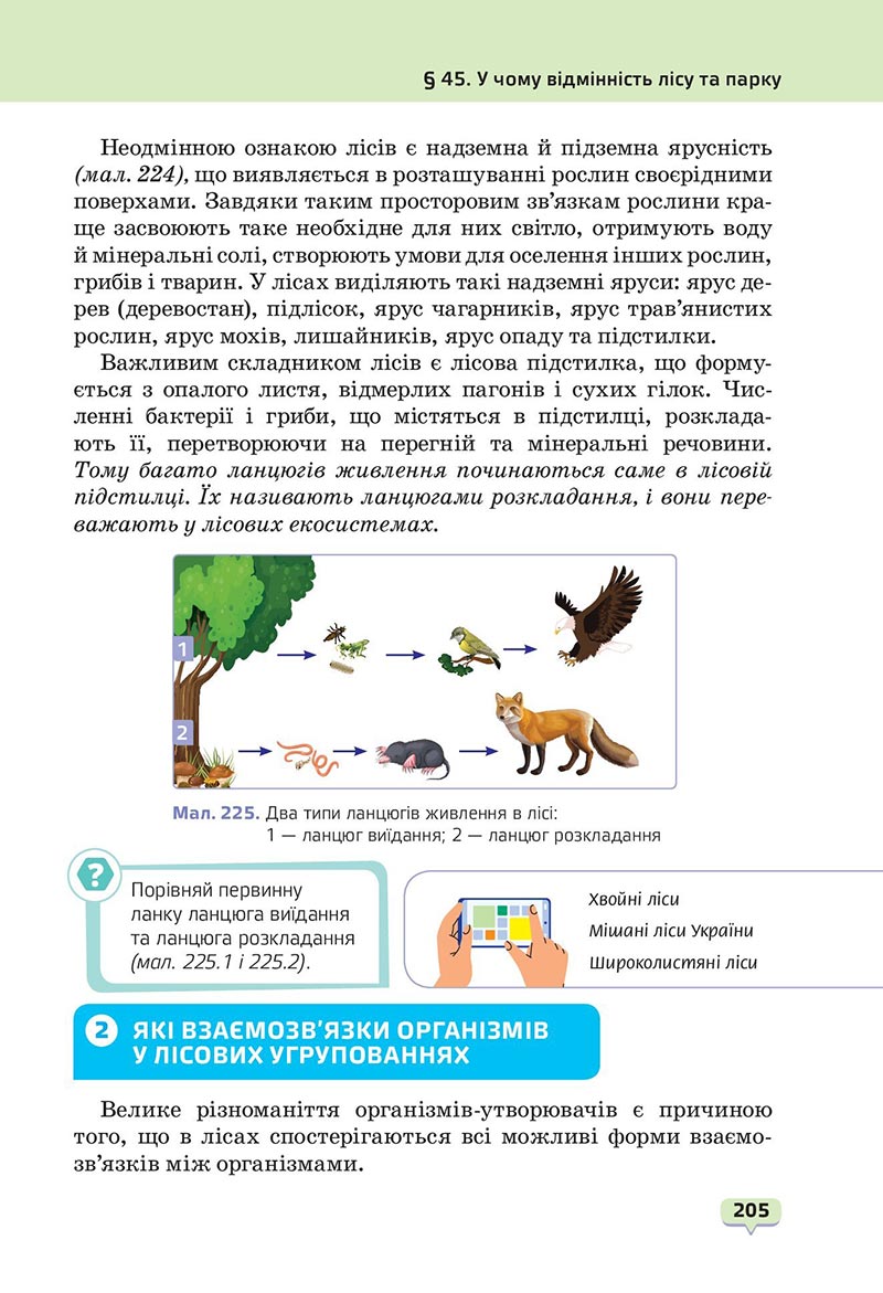 Сторінка 205 - Підручник Пізнаємо природу 6 клас Біда 2023 НУШ