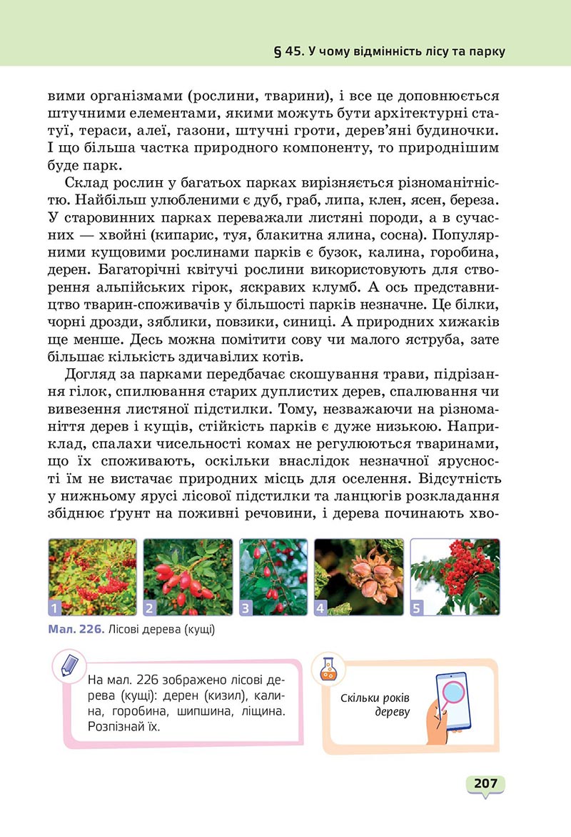 Сторінка 207 - Підручник Пізнаємо природу 6 клас Біда 2023 НУШ