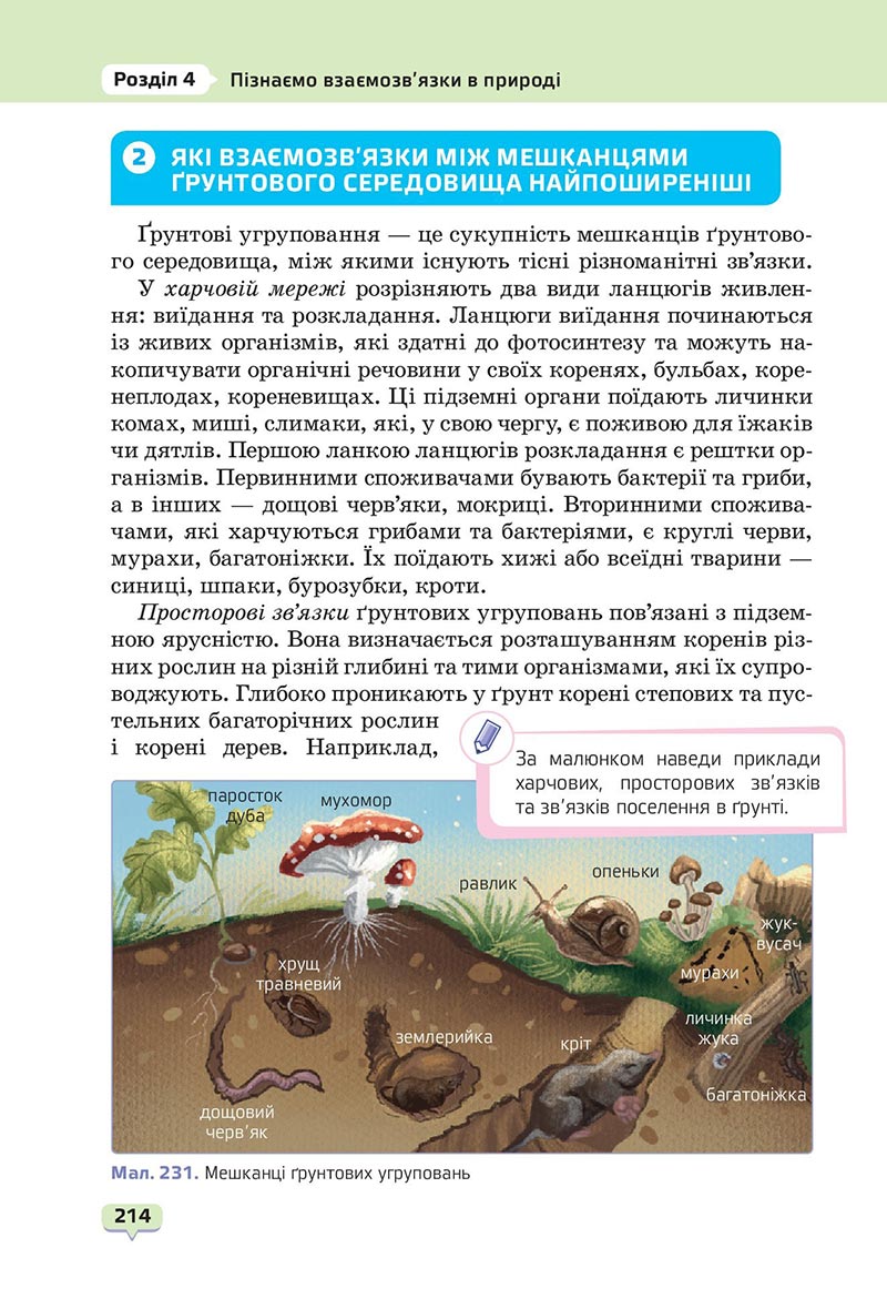 Сторінка 214 - Підручник Пізнаємо природу 6 клас Біда 2023 НУШ