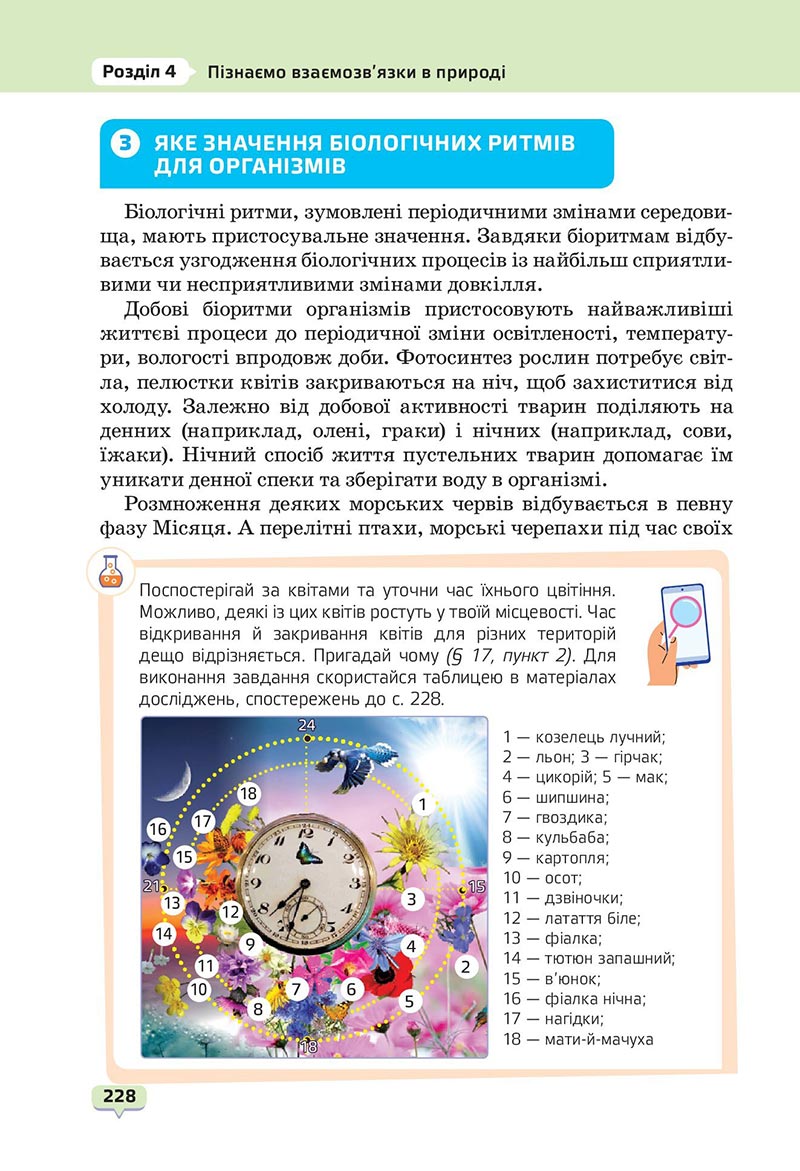 Сторінка 228 - Підручник Пізнаємо природу 6 клас Біда 2023 НУШ