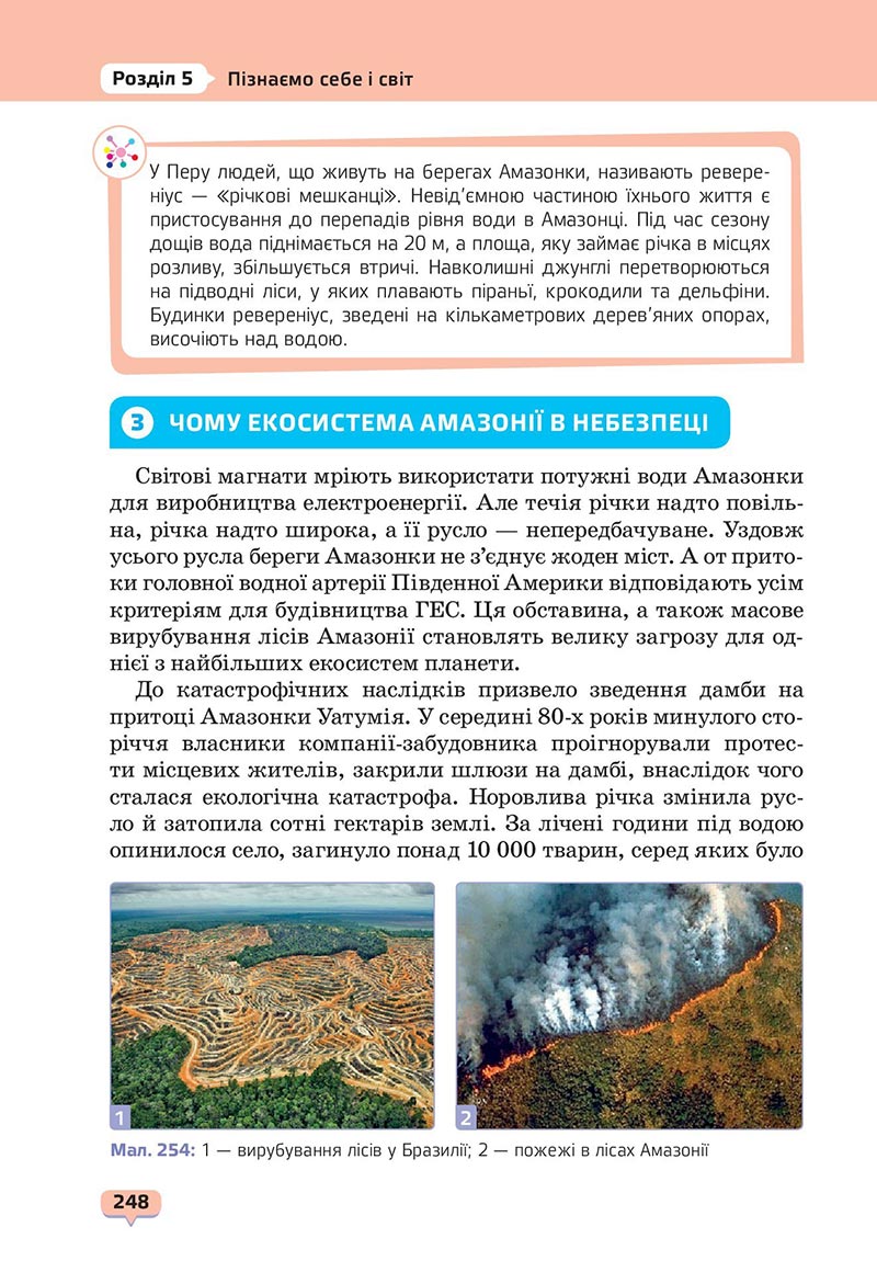 Сторінка 248 - Підручник Пізнаємо природу 6 клас Біда 2023 НУШ