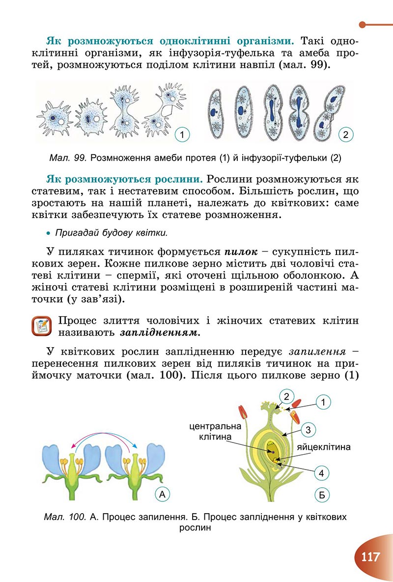 Сторінка 117 - Підручник Пізнаємо природу 6 клас Гільберг 2023 НУШ