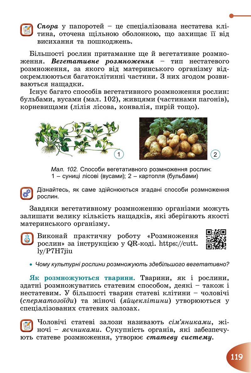 Сторінка 119 - Підручник Пізнаємо природу 6 клас Гільберг 2023 НУШ