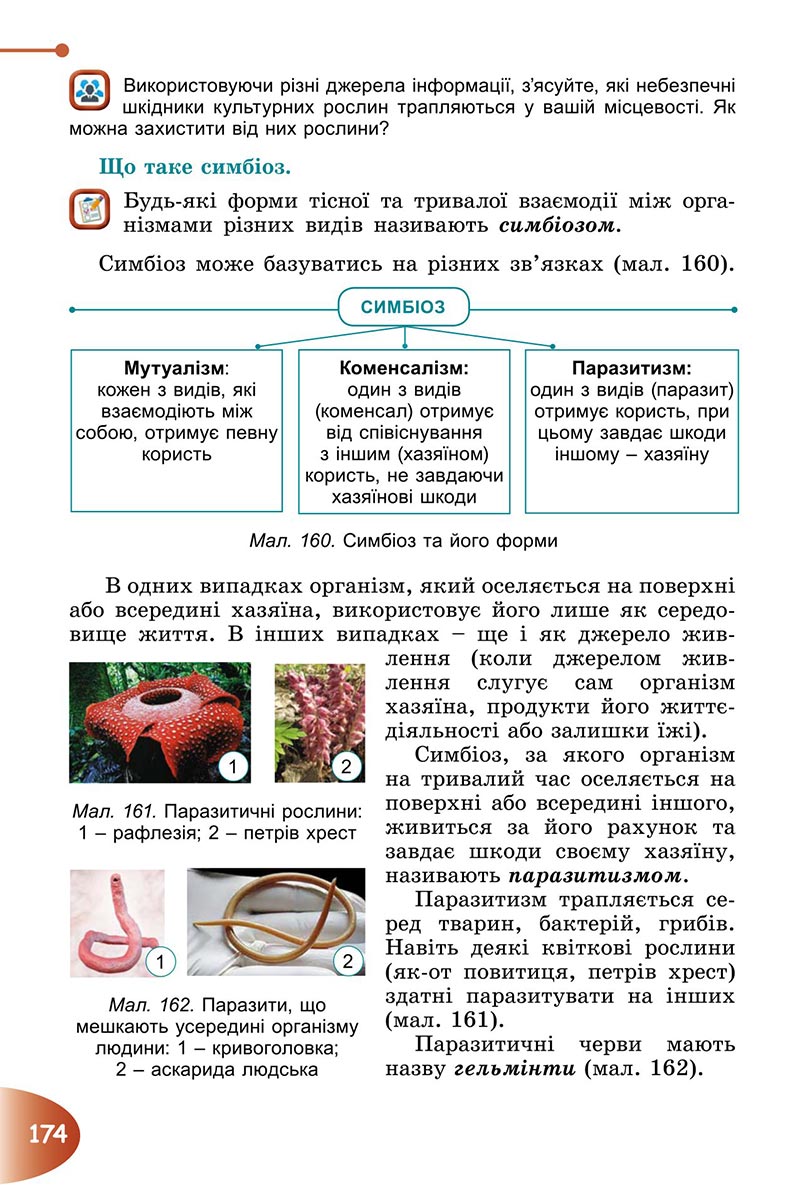 Сторінка 174 - Підручник Пізнаємо природу 6 клас Гільберг 2023 НУШ