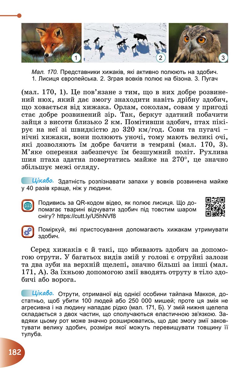 Сторінка 182 - Підручник Пізнаємо природу 6 клас Гільберг 2023 НУШ