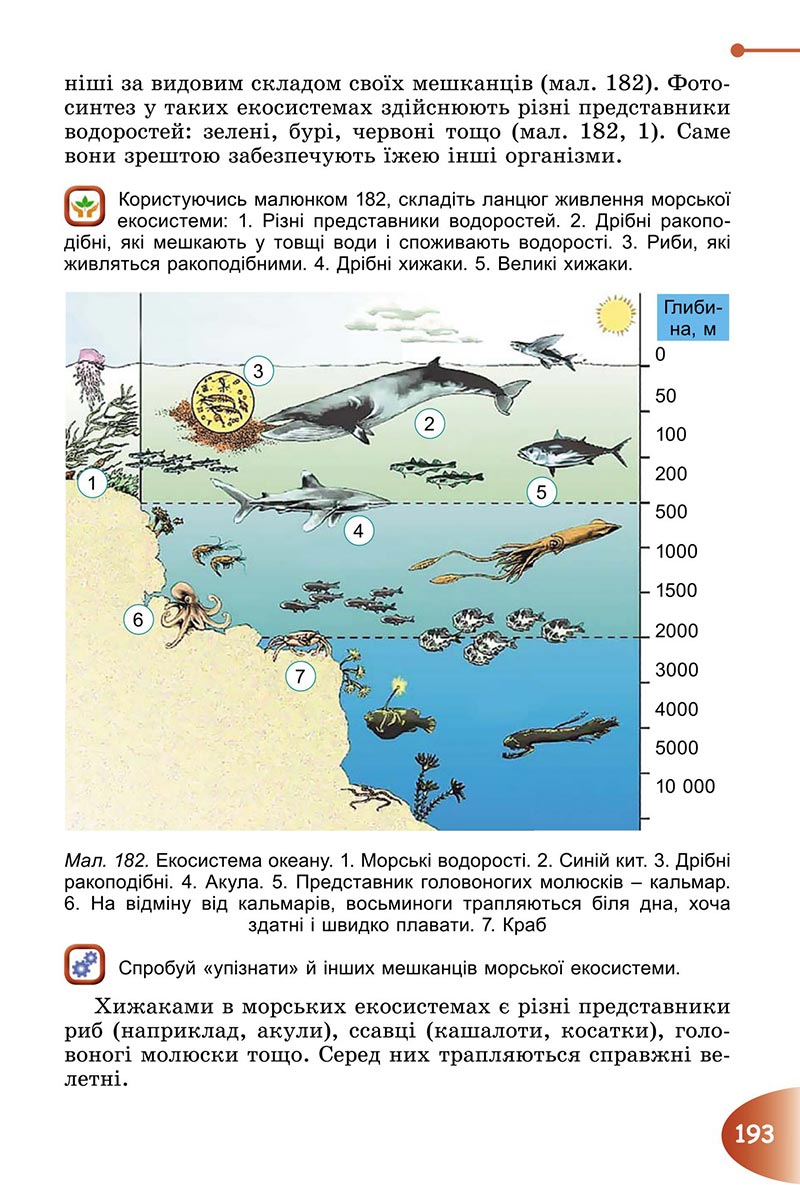 Сторінка 193 - Підручник Пізнаємо природу 6 клас Гільберг 2023 НУШ