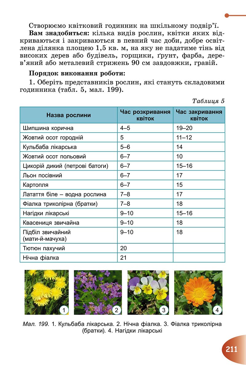 Сторінка 211 - Підручник Пізнаємо природу 6 клас Гільберг 2023 НУШ