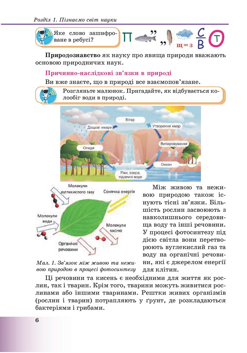 Сторінка 6 - Підручник Пізнаємо природу 6 клас Мідак 2023 НУШ