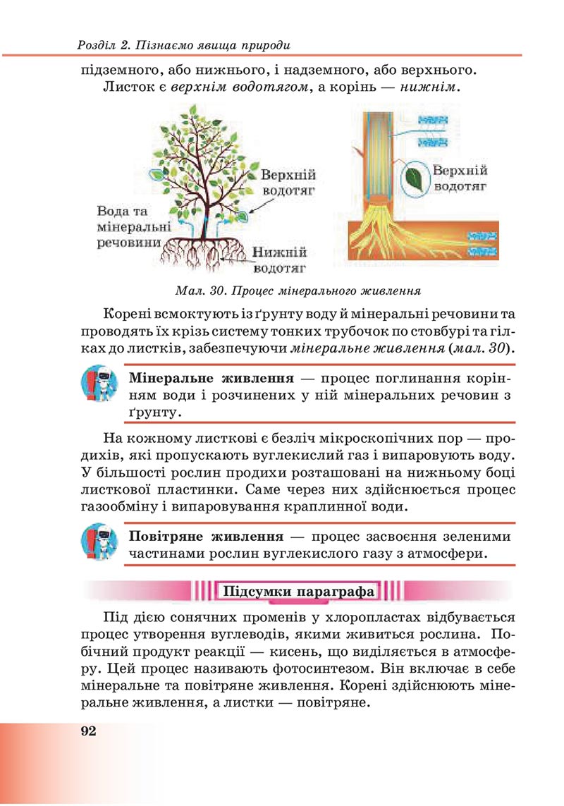 Сторінка 92 - Підручник Пізнаємо природу 6 клас Мідак 2023 НУШ