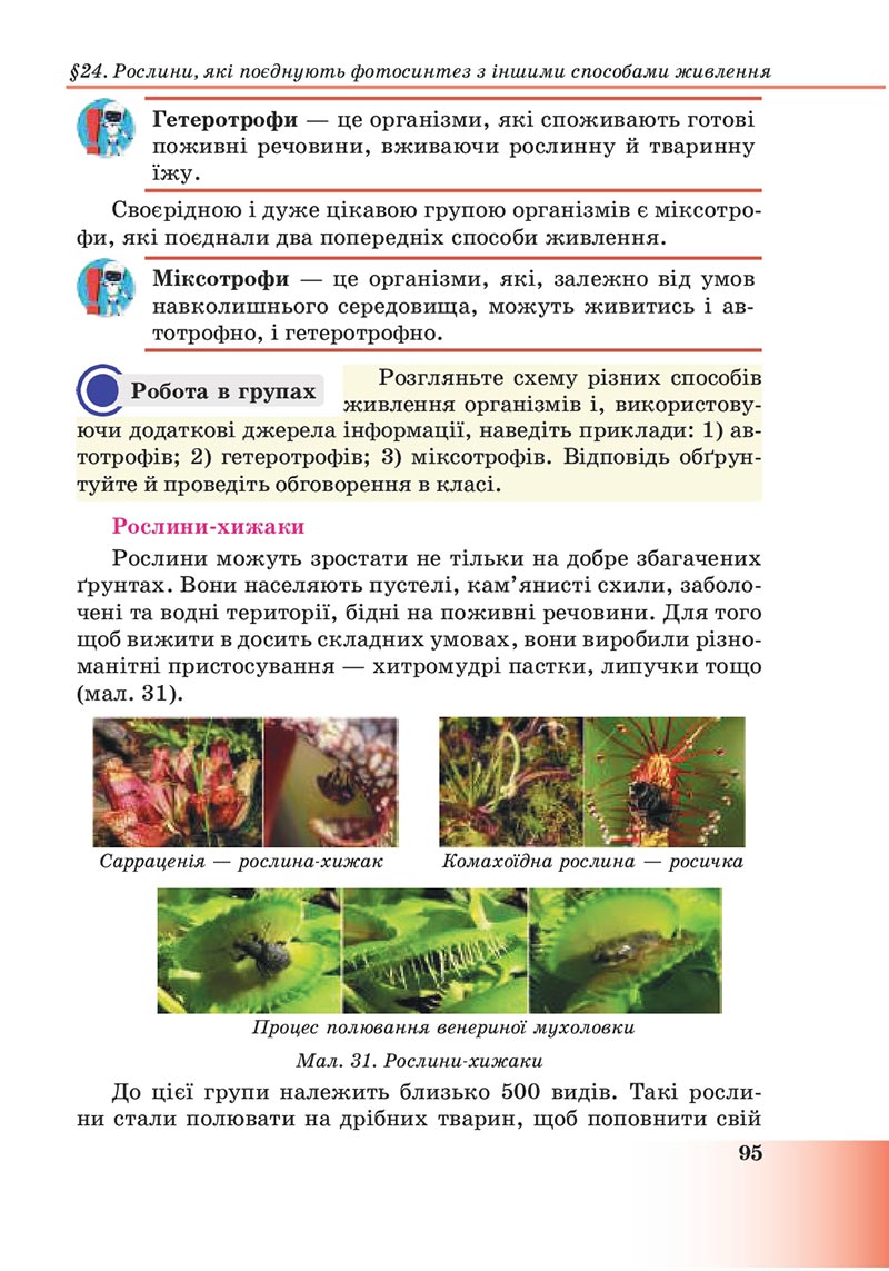 Сторінка 95 - Підручник Пізнаємо природу 6 клас Мідак 2023 НУШ