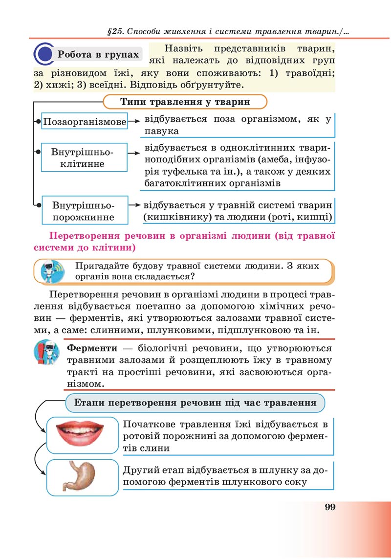 Сторінка 99 - Підручник Пізнаємо природу 6 клас Мідак 2023 НУШ