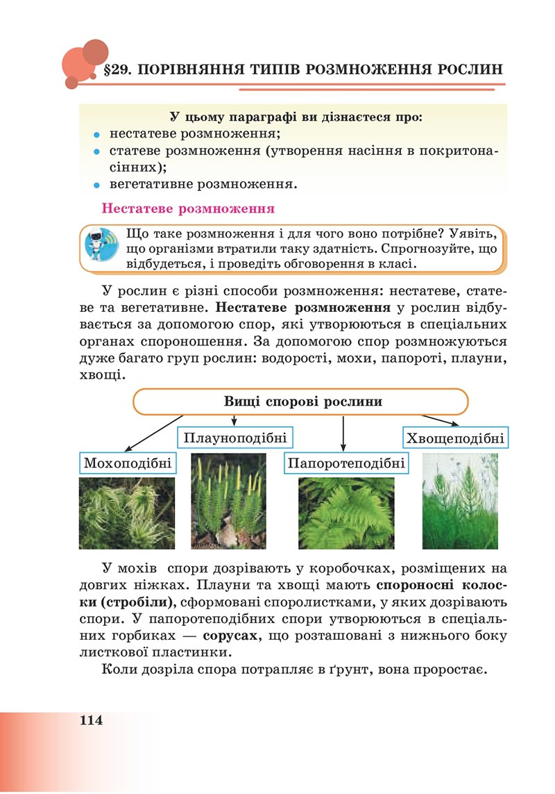 Сторінка 114 - Підручник Пізнаємо природу 6 клас Мідак 2023 НУШ