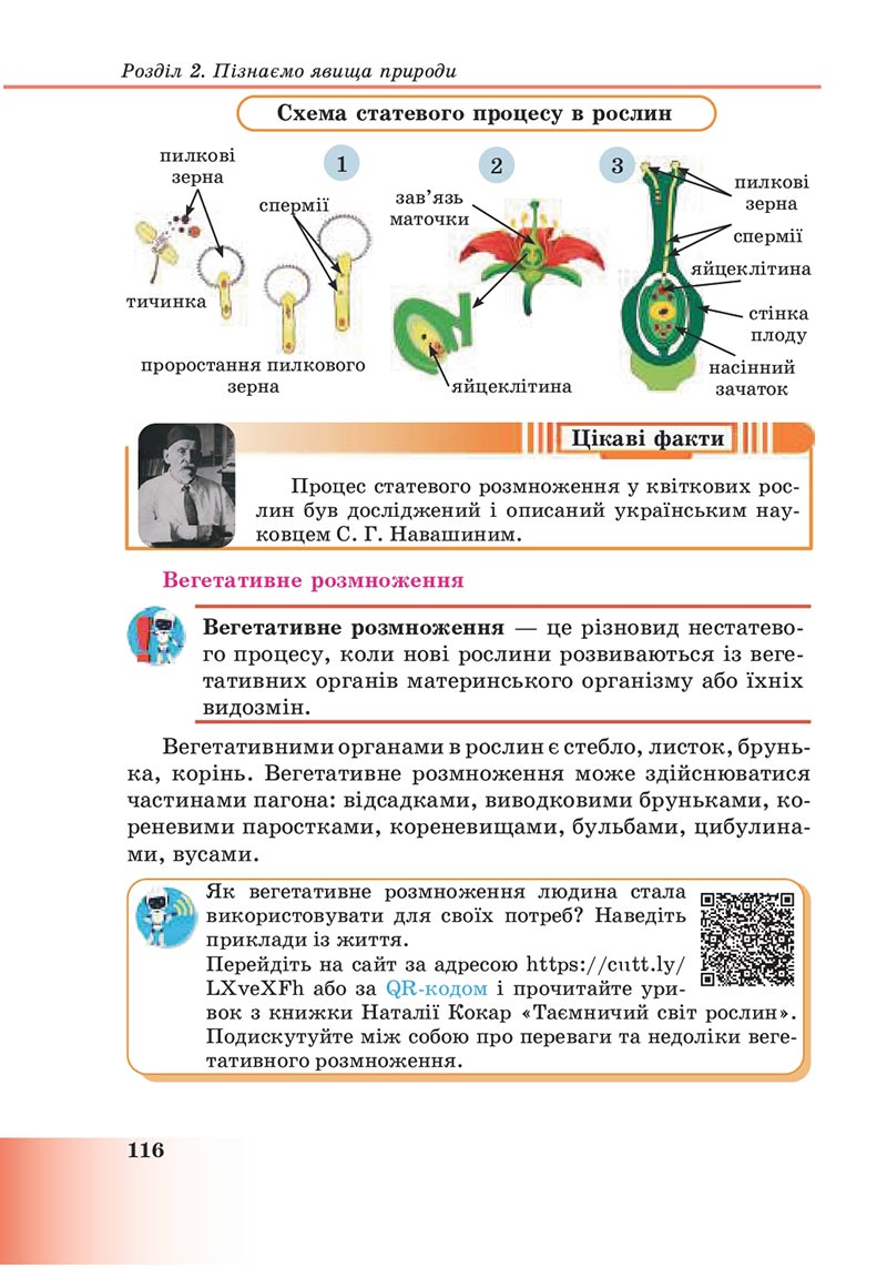 Сторінка 116 - Підручник Пізнаємо природу 6 клас Мідак 2023 НУШ