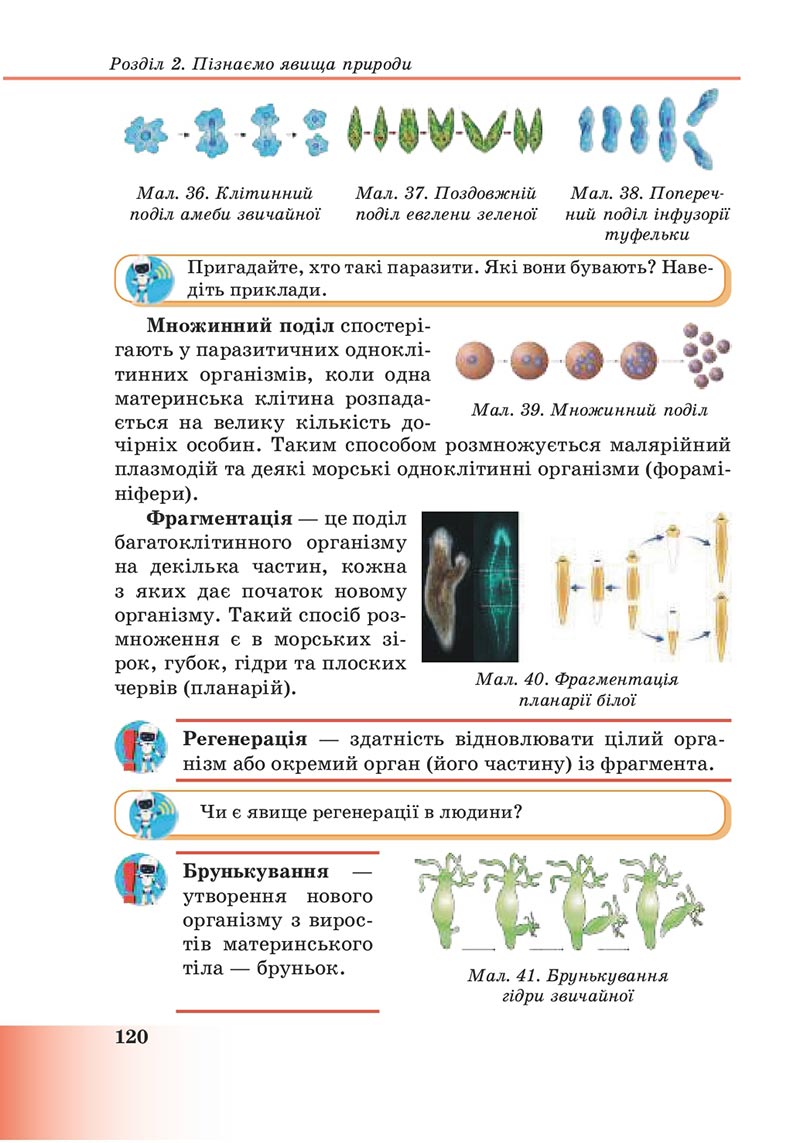 Сторінка 120 - Підручник Пізнаємо природу 6 клас Мідак 2023 НУШ