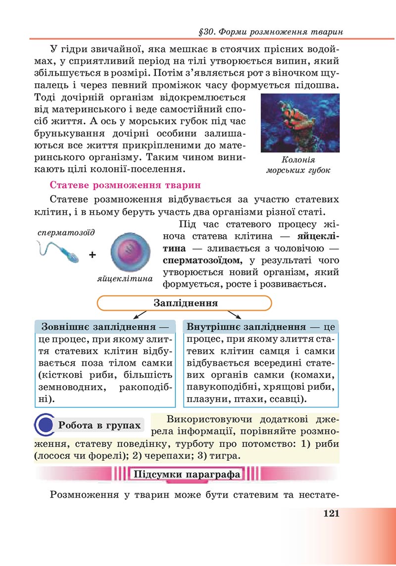 Сторінка 121 - Підручник Пізнаємо природу 6 клас Мідак 2023 НУШ