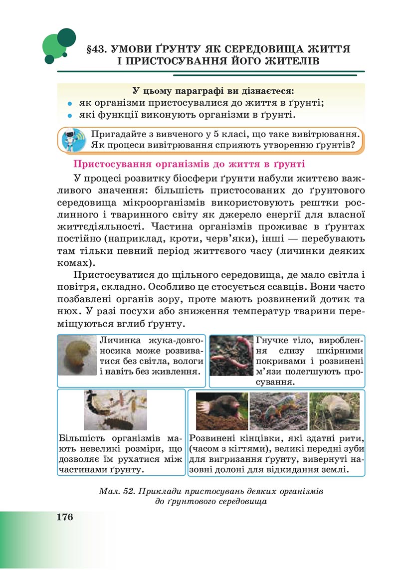 Сторінка 176 - Підручник Пізнаємо природу 6 клас Мідак 2023 НУШ