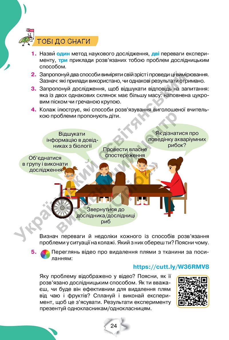 Сторінка 24 - Підручник Пізнаємо природу 6 клас Коршевнюк 2023 НУШ