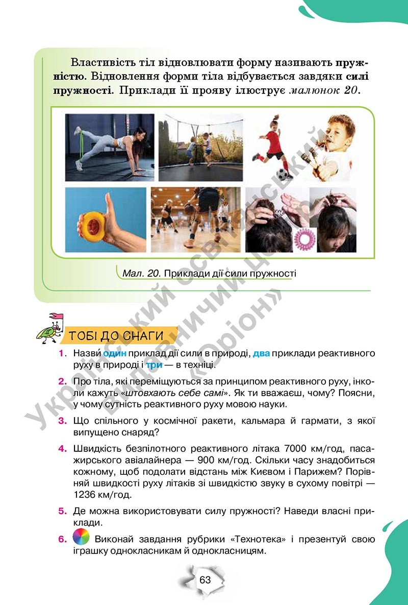 Сторінка 63 - Підручник Пізнаємо природу 6 клас Коршевнюк 2023 НУШ