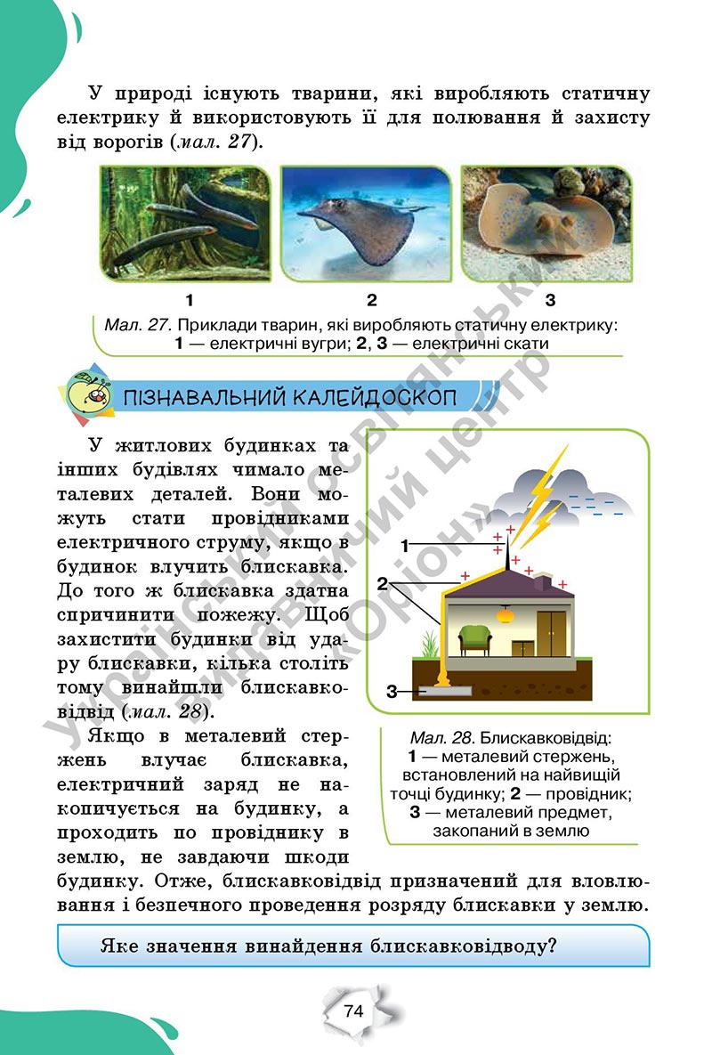 Сторінка 74 - Підручник Пізнаємо природу 6 клас Коршевнюк 2023 НУШ