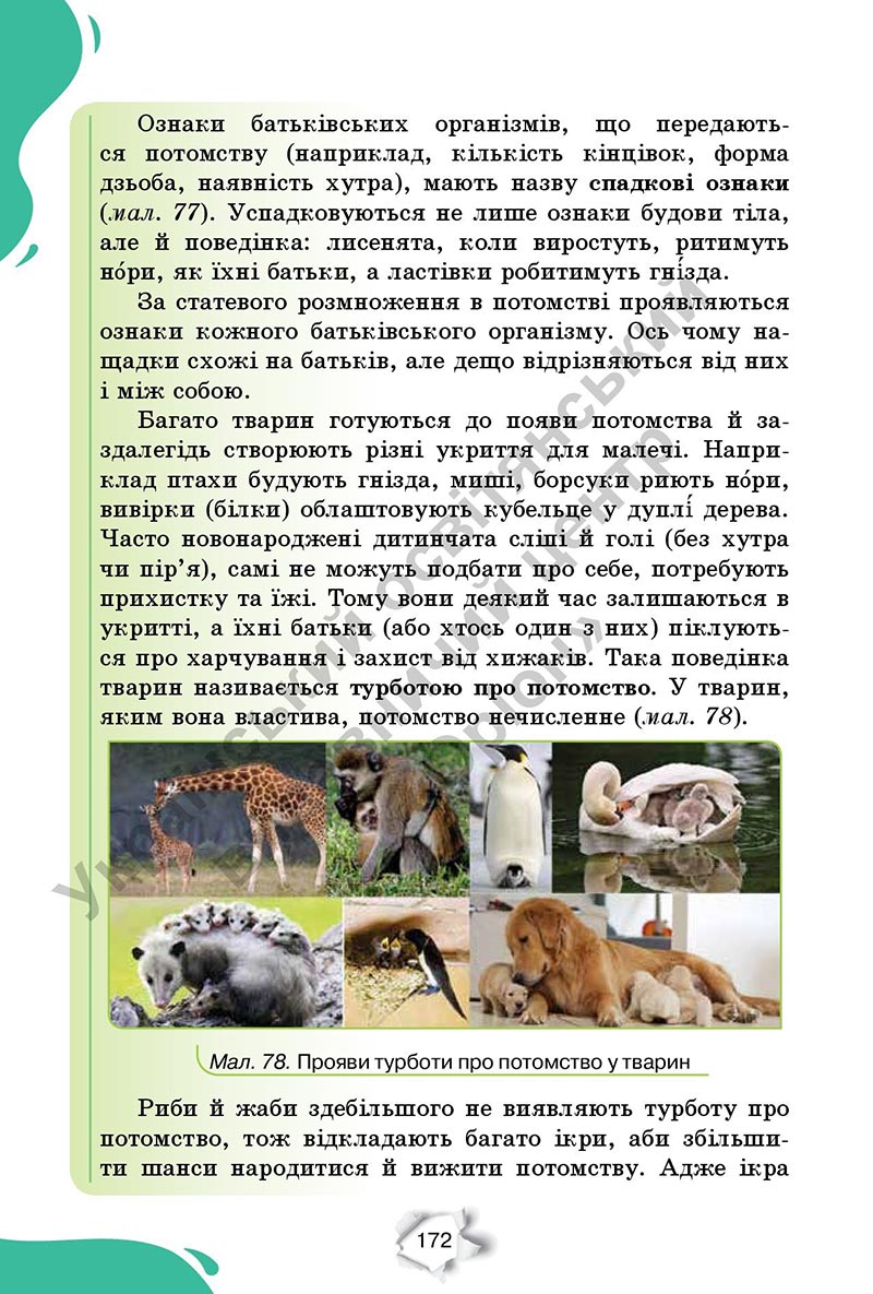 Сторінка 172 - Підручник Пізнаємо природу 6 клас Коршевнюк 2023 НУШ