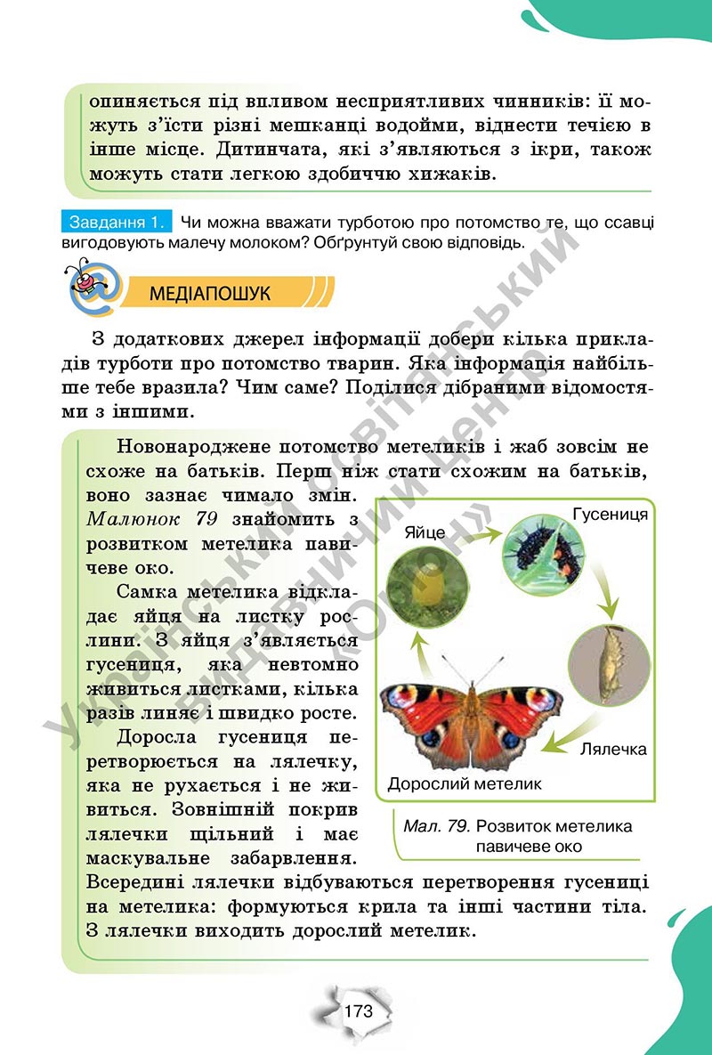 Сторінка 173 - Підручник Пізнаємо природу 6 клас Коршевнюк 2023 НУШ
