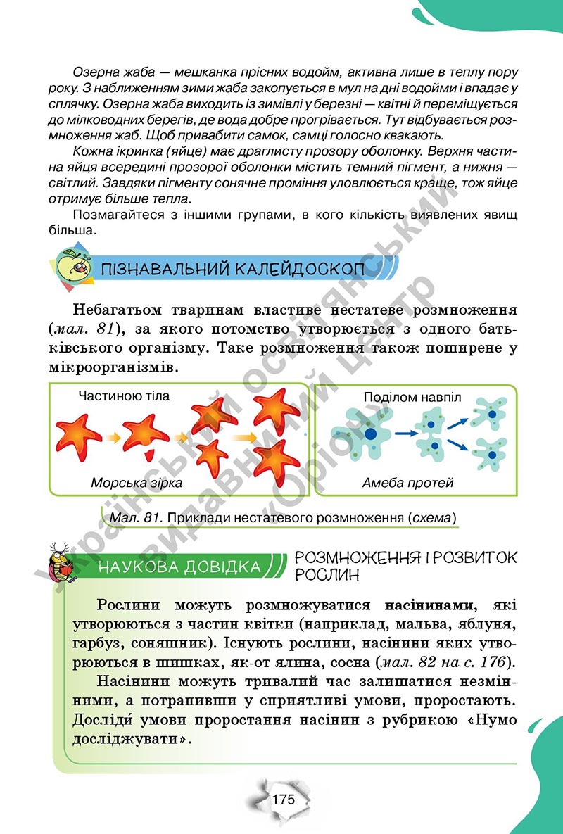 Сторінка 175 - Підручник Пізнаємо природу 6 клас Коршевнюк 2023 НУШ