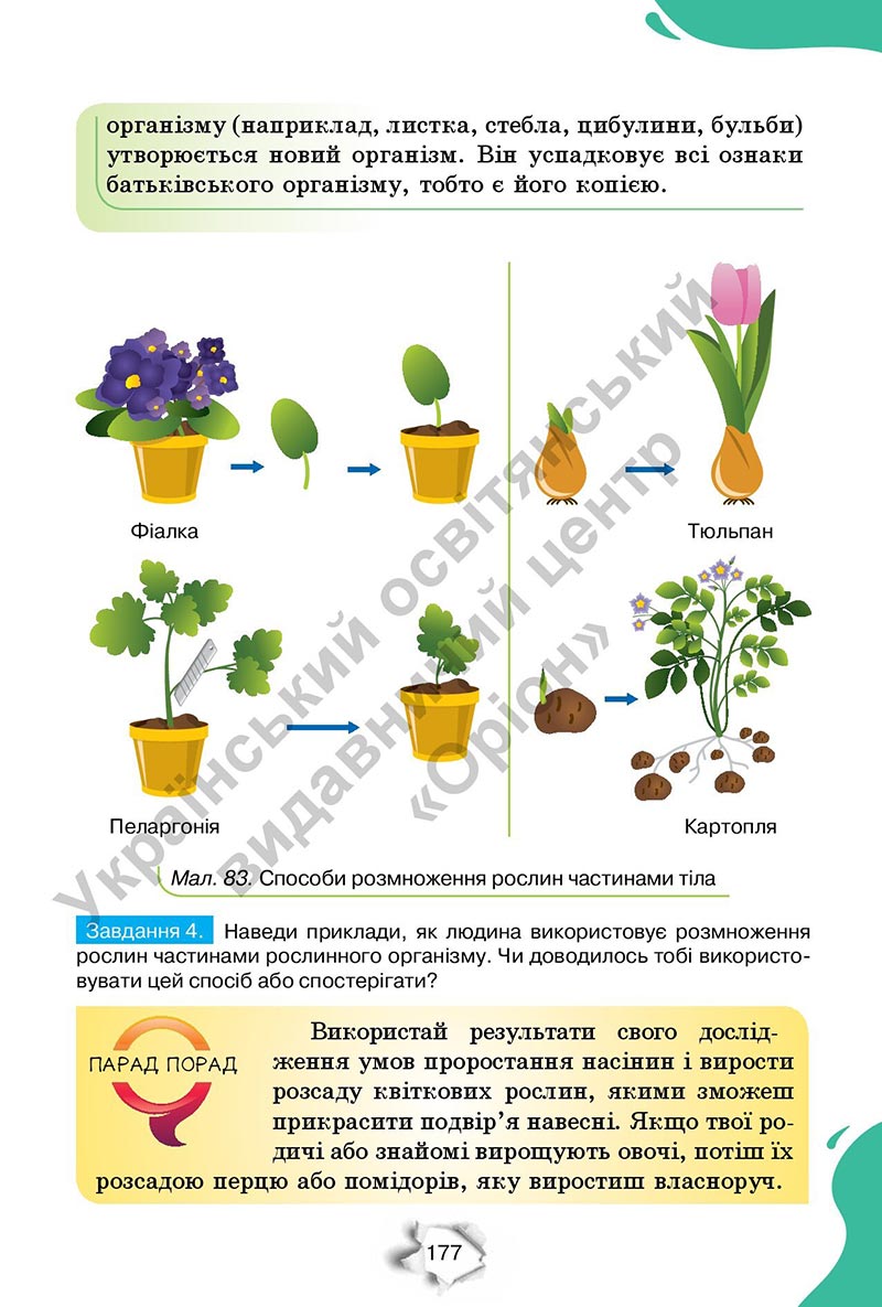 Сторінка 177 - Підручник Пізнаємо природу 6 клас Коршевнюк 2023 НУШ