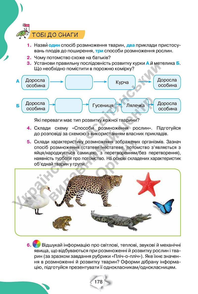 Сторінка 178 - Підручник Пізнаємо природу 6 клас Коршевнюк 2023 НУШ