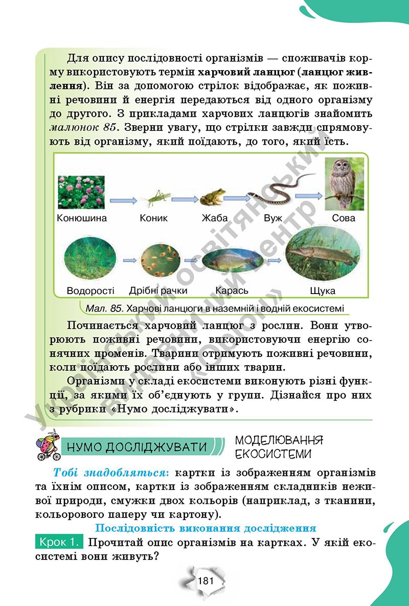 Сторінка 181 - Підручник Пізнаємо природу 6 клас Коршевнюк 2023 НУШ