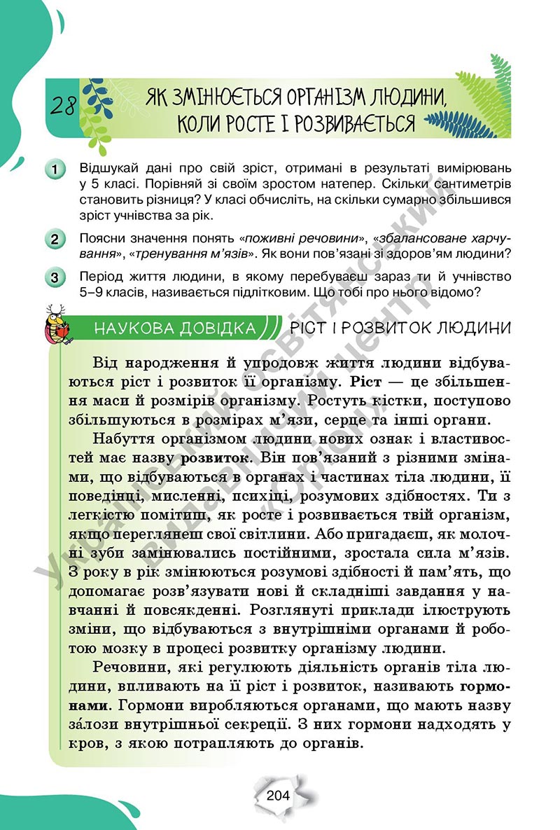 Сторінка 204 - Підручник Пізнаємо природу 6 клас Коршевнюк 2023 НУШ