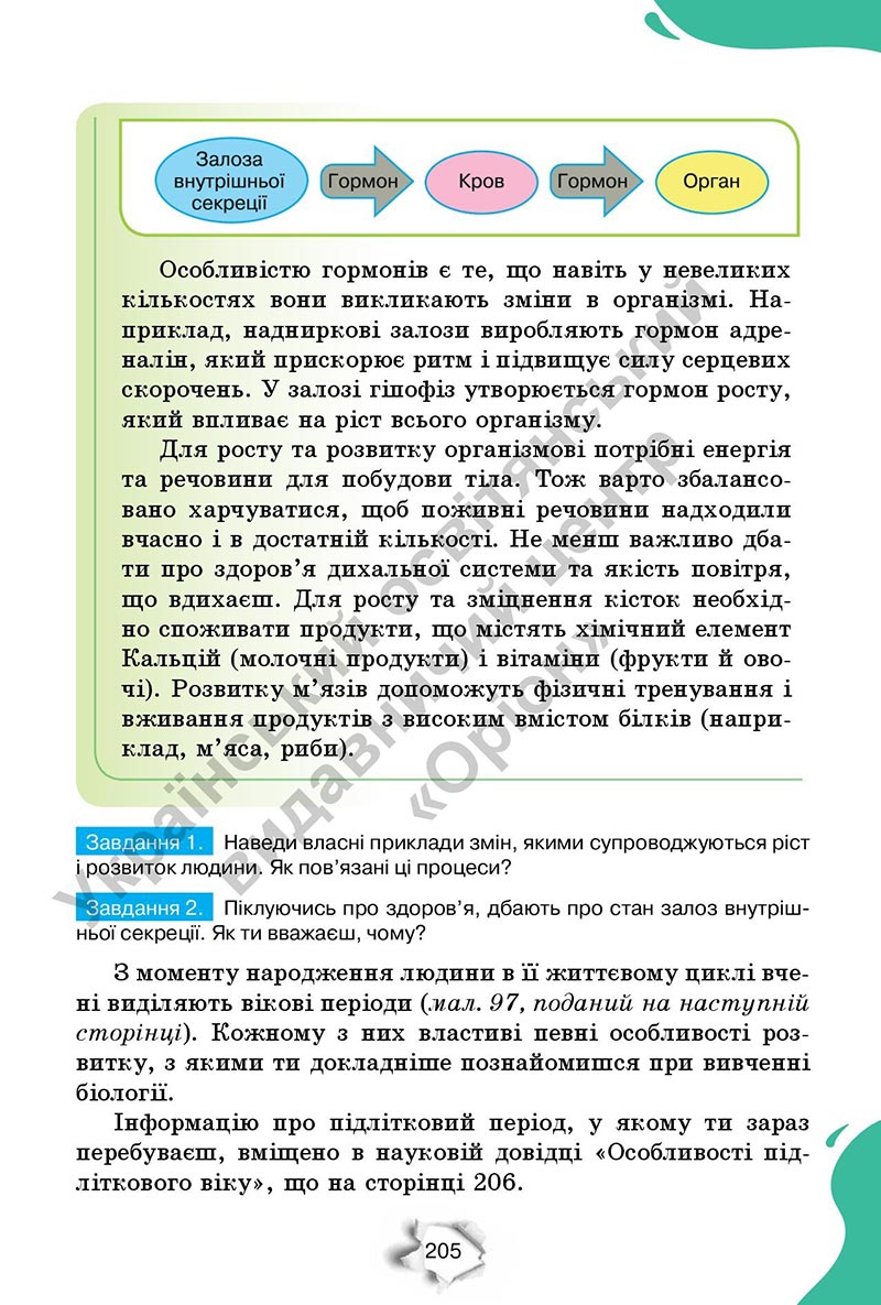 Сторінка 205 - Підручник Пізнаємо природу 6 клас Коршевнюк 2023 НУШ