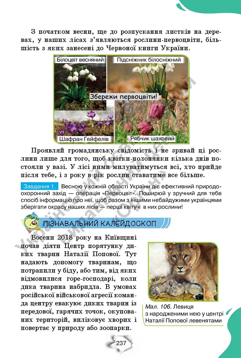 Сторінка 237 - Підручник Пізнаємо природу 6 клас Коршевнюк 2023 НУШ