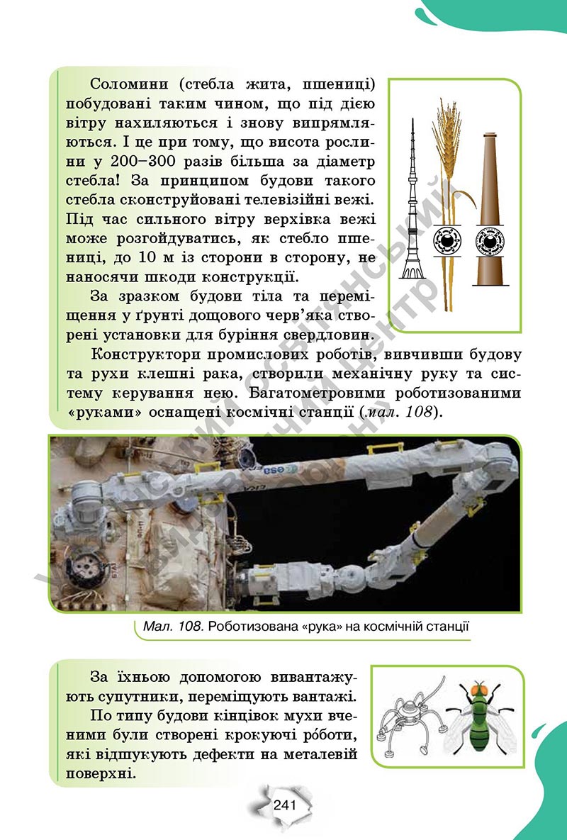 Сторінка 241 - Підручник Пізнаємо природу 6 клас Коршевнюк 2023 НУШ